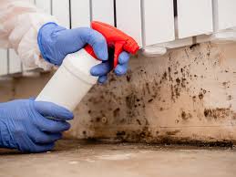 Best Real Estate Mold Inspection  in Darien, IL